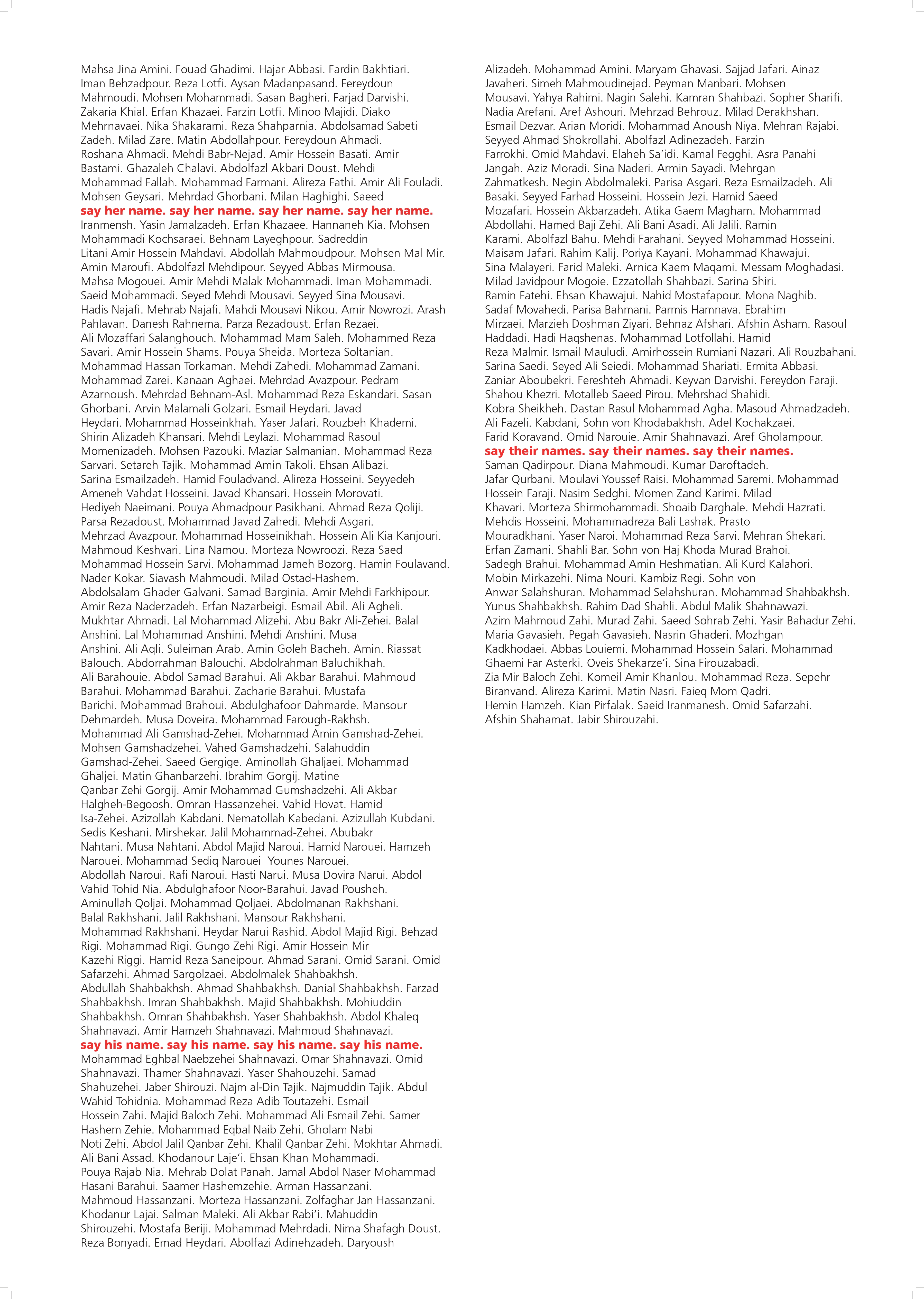 Druck_say_their_names_pages-to-jpg-0001