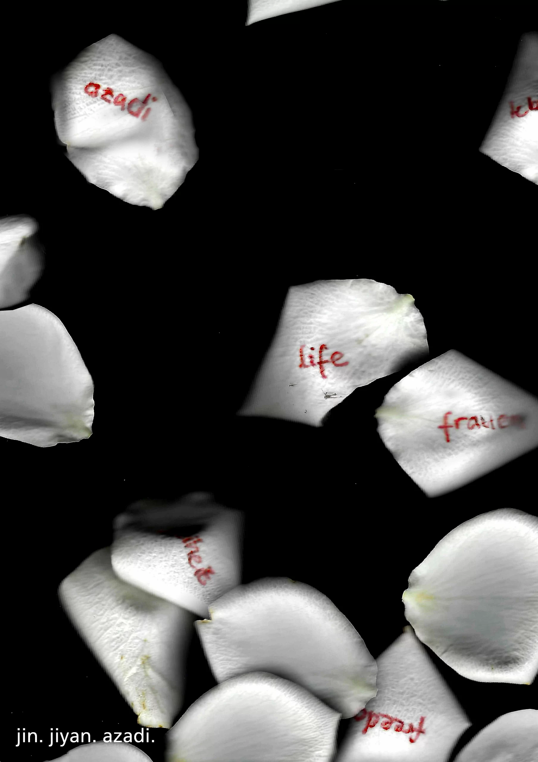 Druck-FLOWERS
